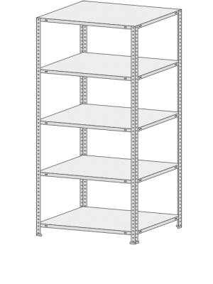 Стеллаж MS Standart  255-2,2