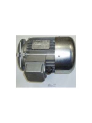 SL0089 Мотор для тестомесов 25/S FIMAR